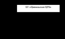 Інформаційно-аналітична довідка за підсумками роботи за 2012 рік БО «Цивільська центральна роботи