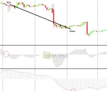 Індикатор OSMA для Форекс з описом форекс