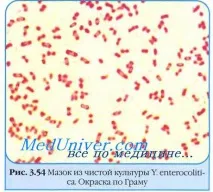 патогенез