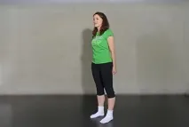 стегон