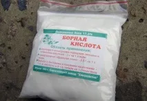 Як назавжди позбутися тарганів уквартирі народні та покупні засоби тарганів