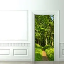 Як оновити міжкімнатні двері своїми руками фото двері
