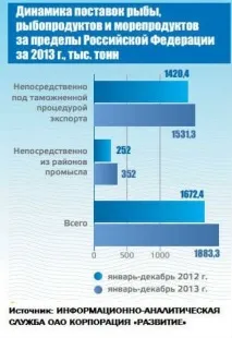 рибі