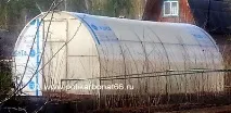 який
