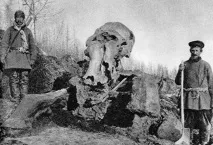 Як гинули мамонтята - 11 Грудня 2013, Земля - Хроніки життя гинули