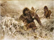 Як гинули мамонтята - 11 Грудня 2013, Земля - Хроніки життя гинули