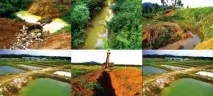 Як потрапляє акваріумна риба до покупця Як працюють постачальники з Азії На цю тему стаття акваріумна