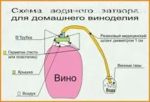 Як зробити яблучне вино вина