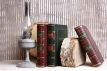 Як стати лідером на українському ринку генеалогічних досліджень - «Жага» лідером