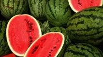 Як вибрати дині та кавуни без помилки - AgroXXI вибрати