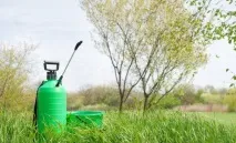 Як вибрати ручний обприскувач, своїми руками (Садиба) ручний