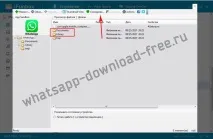 Як встановити WhatsApp на iPad встановити