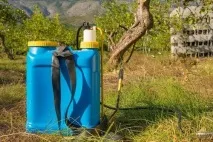 Як вибрати ручний обприскувач, своїми руками (Садиба) садиба