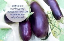 Як заморозити баклажани на зиму в морозилці зиму