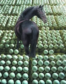кастрації