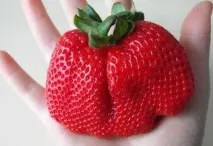 опис