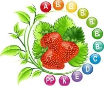 зефір