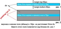 Конфлікти полів (margin) у CSS 50px