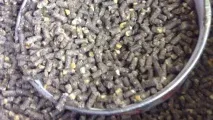 Комбікорм для курей несучок своїми руками комбікорм