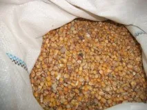 Комбікорм для курей несучок своїми руками комбікорм