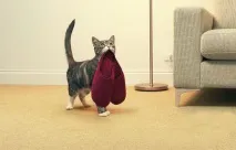посиденьки