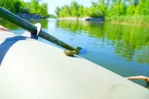 культура