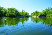 культура