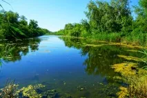 культура
