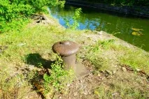 культура
