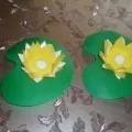 Латаття з одноразового посуду на штучному водоймищі штучному