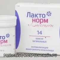 лактонорм