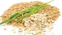 Лікування сечокам’яної хвороби народними засобами яної