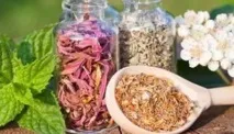 Лікування сечокам’яної хвороби народними засобами засобами