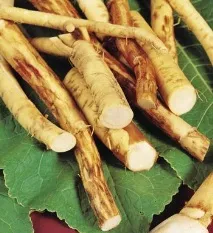 лікування