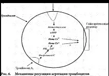 синдром