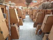 катюша
