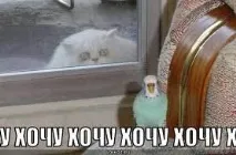 себе
