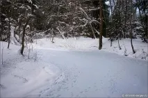 Місця сили Радонеж, Радонежье радонеж