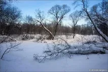 Місця сили Радонеж, Радонежье радонеж