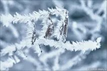 Місця сили Радонеж, Радонежье сили