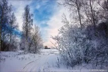 Місця сили Радонеж, Радонежье сили
