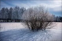 Місця сили Радонеж, Радонежье місця
