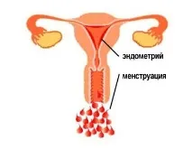 Менструальний цикл яка норма, збої та порушення норма