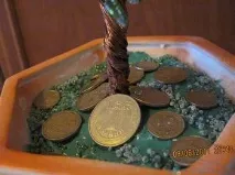 Борошняні жучки атакують кухонні шафи - відповіді та поради на твої запитання відповіді