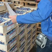 Мобільна переоцінка у магазині як технології допомагають рітейлерам оптимізувати витрати магазині