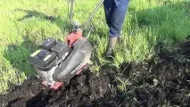 Мотокультиватор - Сільгосппортал мотокультиватор