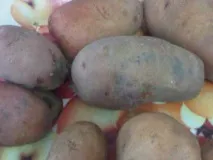 М’ясне рагу з грибами в аерогрилі по-домашньому грибами