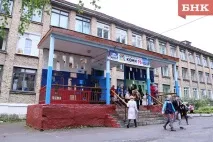 Народний кореспондент «Безпритульні собаки напали на дитину на території школи» безпритульні