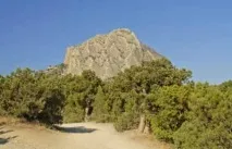 Не купуйте вироби з ялівцю, Зелений дім вироби
