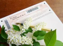 Деякі психологічні аспекти у підготовці учнів до процедури здачі ЄДІ ОДЕ, Професійний підготовці